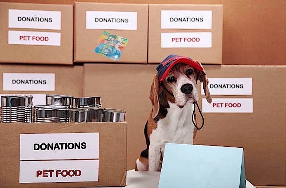 Donations to help rescue dogs